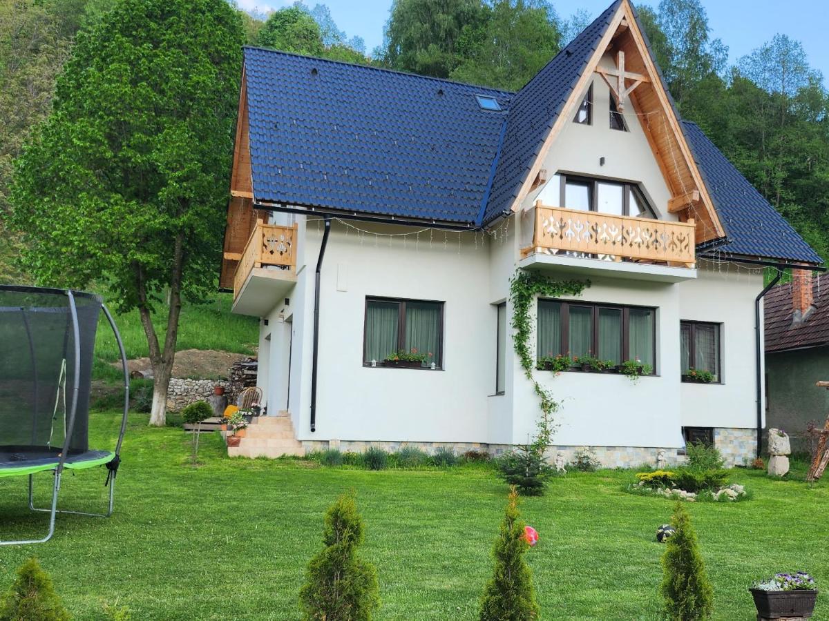 Casa Nectaria Villa Moieciu de Jos Exterior foto